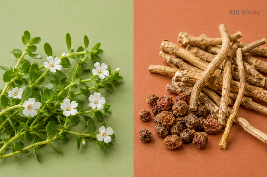 Bacopa Monnieri (Brahmi) vs Ashwagandha: Which One Is Right for You?